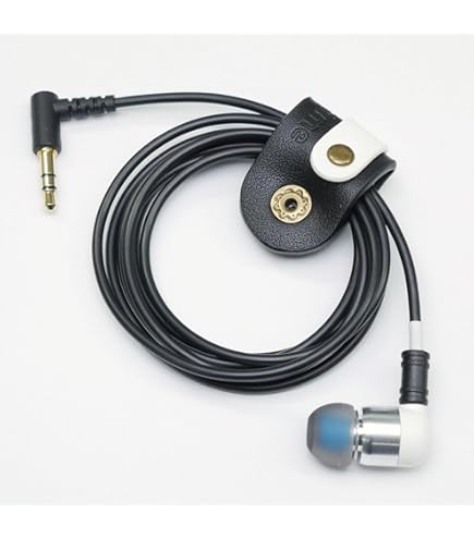 Amazon.co.jp: 【e☆イヤホン限定】intime 翔DD The Head for